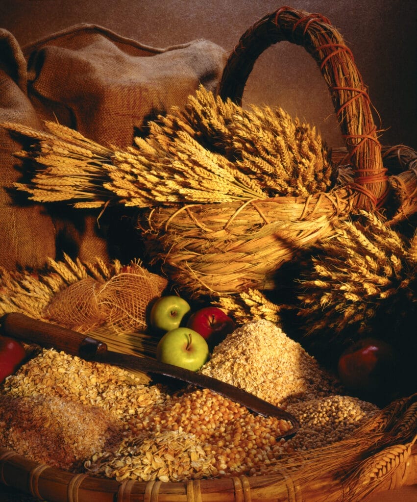 Zboże 